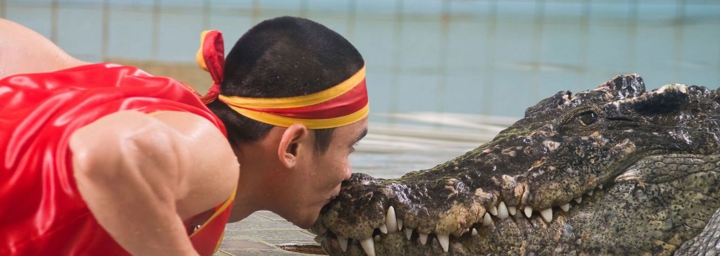Достопримечательности Таиланда, Крокодиловая ферма в Паттайе
